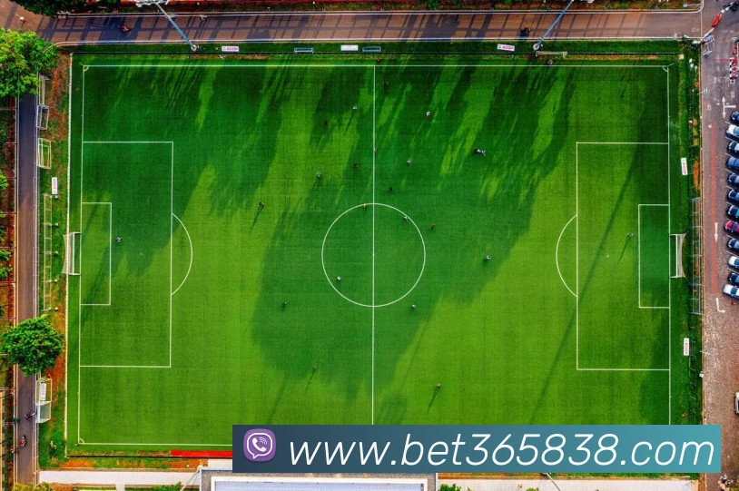 bet365中国官网服务体系